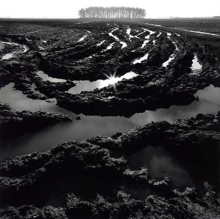 mudscape